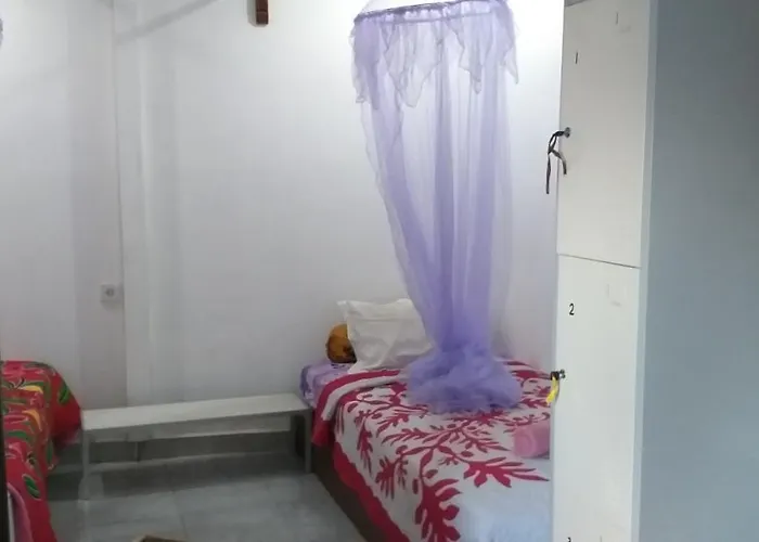 Sari Amed